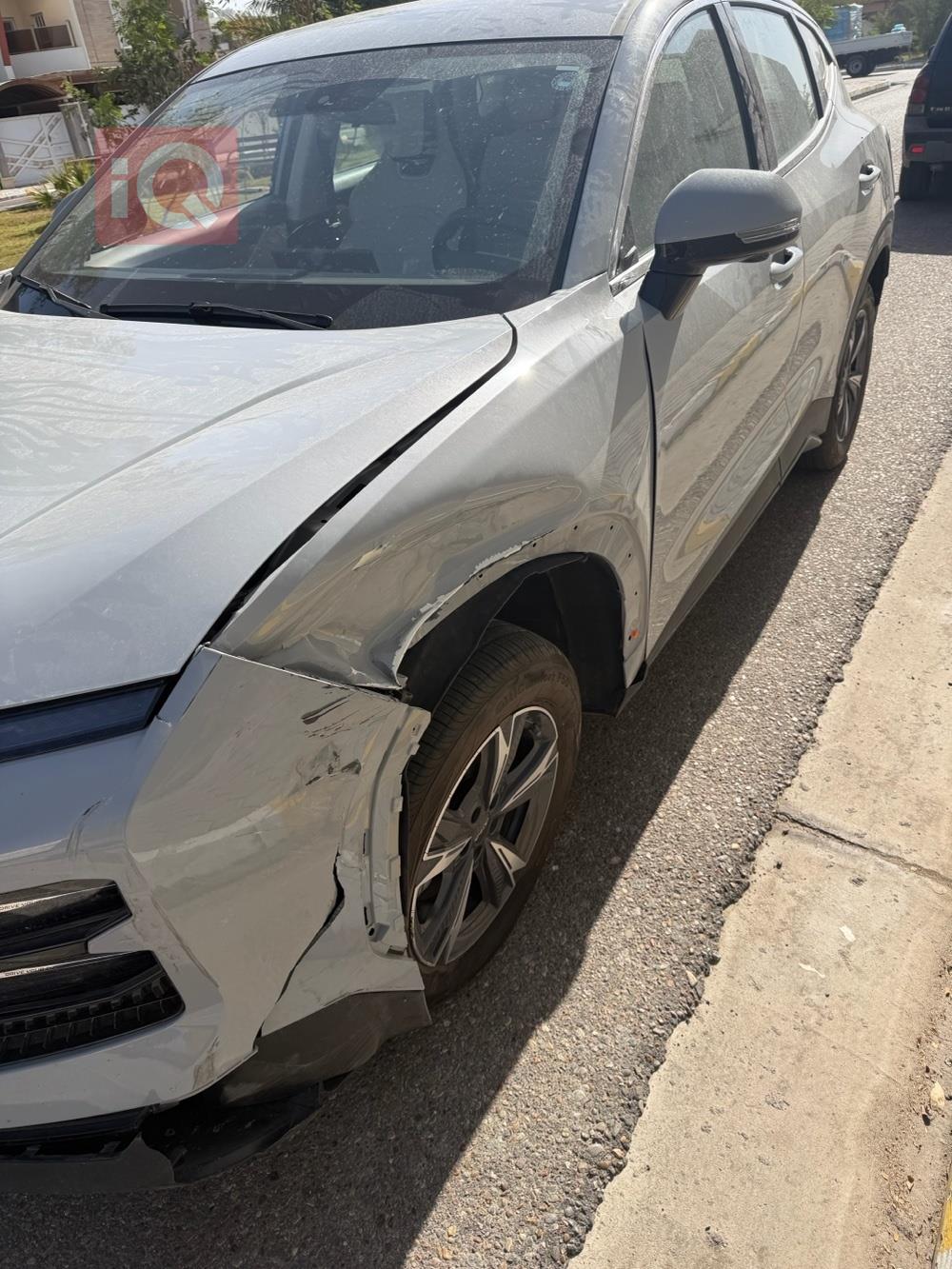 جيتور داشينج